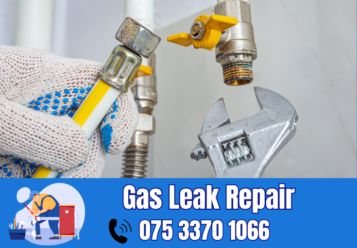 gas leak repair Herne Bay