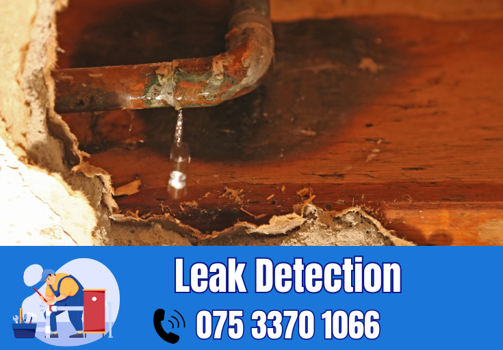 leak detection Herne Bay