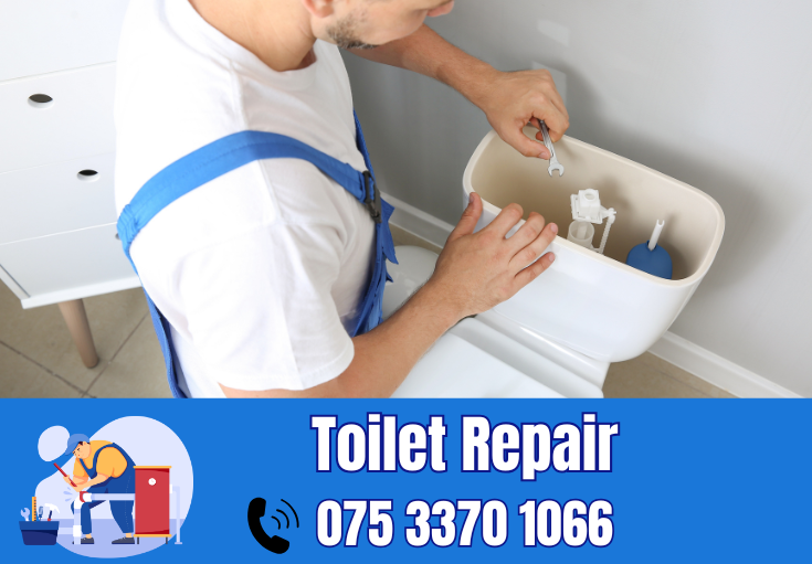 toilet repair Herne Bay